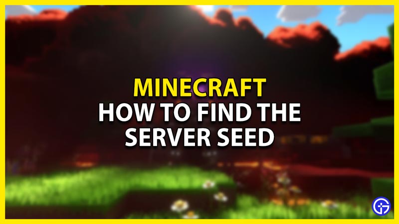 how to find the seed of a server in minecraft