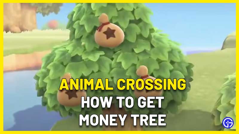 how to get money tree animal crossing new horizons