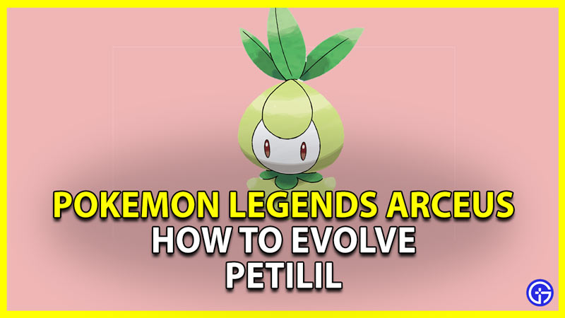how to evolve petilil in pokemon legends arceus