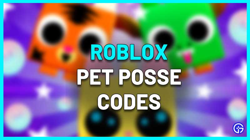 Pet Posse Codes