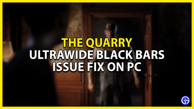 ultrawide black bars on pc issue fix in the quarry