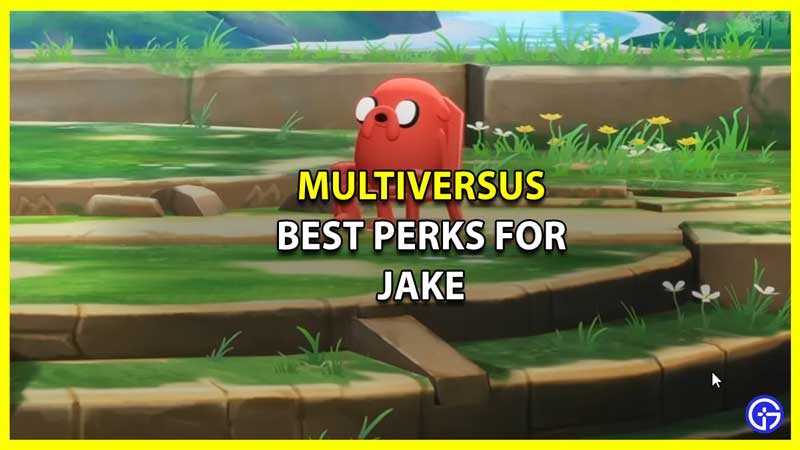 Best Perks for Jake in MultiVersus