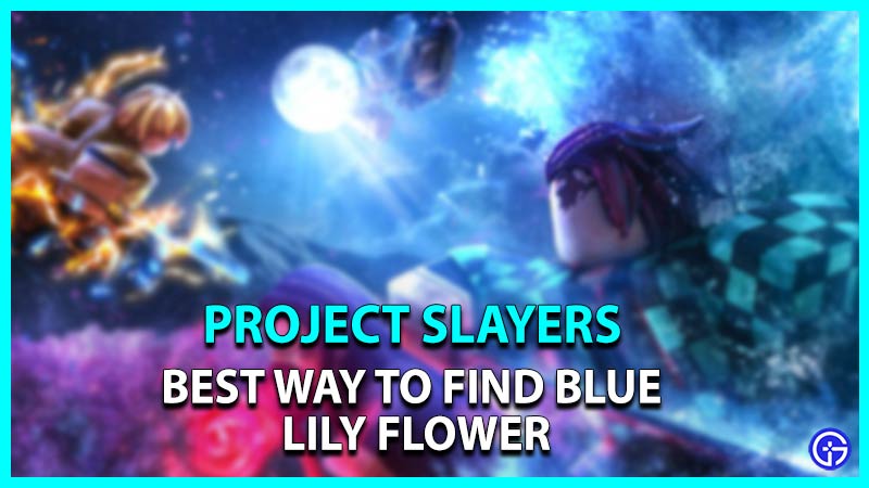 Private Server Codes For Finding Blue Spider Lily!  Project Slayers Roblox  Free Private Server Code 