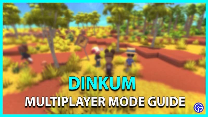 Multiplayer Mode in Dinkum