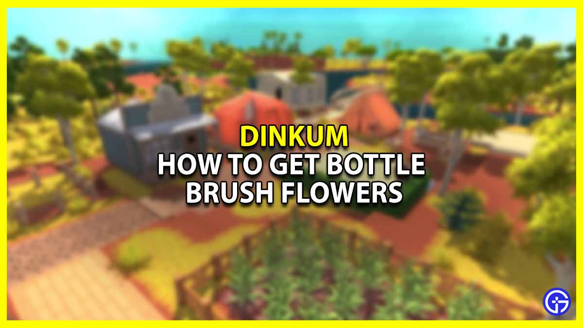 How To Get Bottle Brush Flowers In Dinkum