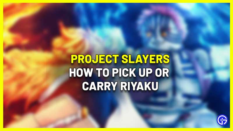 How To Pick Up Or Carry Riyaku