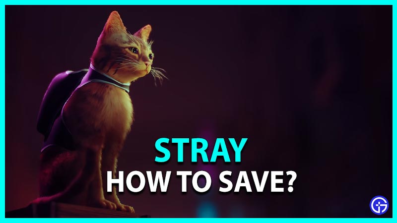 How To Save Stray Game