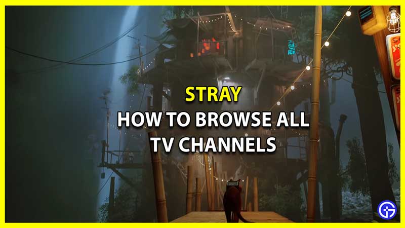 How to Browse All TV Channels in Stray