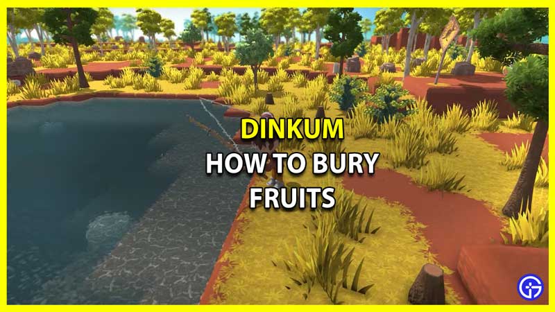 How to Bury Fruit in Dinkum
