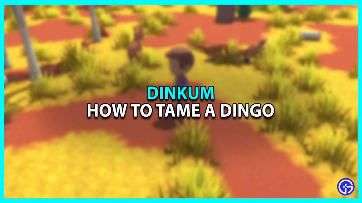 How to Tame a Dingo in Dinkum