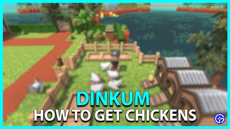How to get chickens in Dinkum
