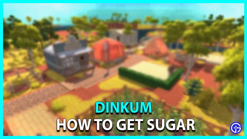 How to get Sugar in Dinkum