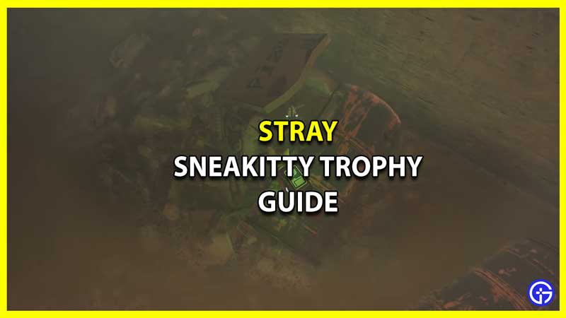 Stray How to Get Sneakitty Trophy