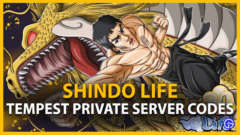 Roblox Shindo Life Private Server Codes List (December 2023) - Pro