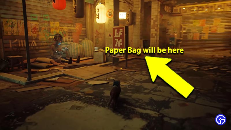Where to Find Paper Bag Location in Stray for Curiosity Killed the Cat Trophy