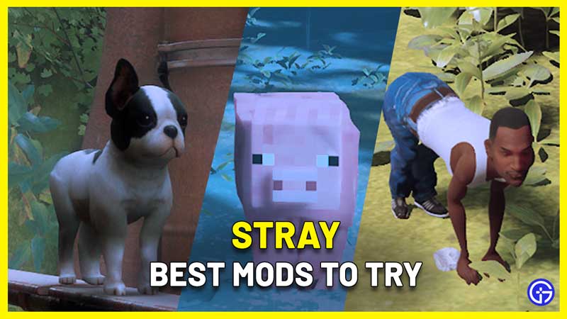 best stray mods