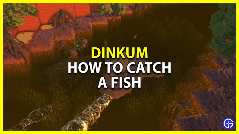 how to catch a fish in dinkum