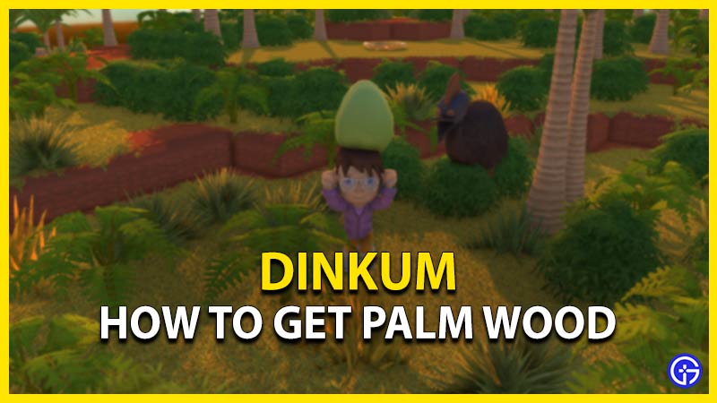dinkum how to get palm wood
