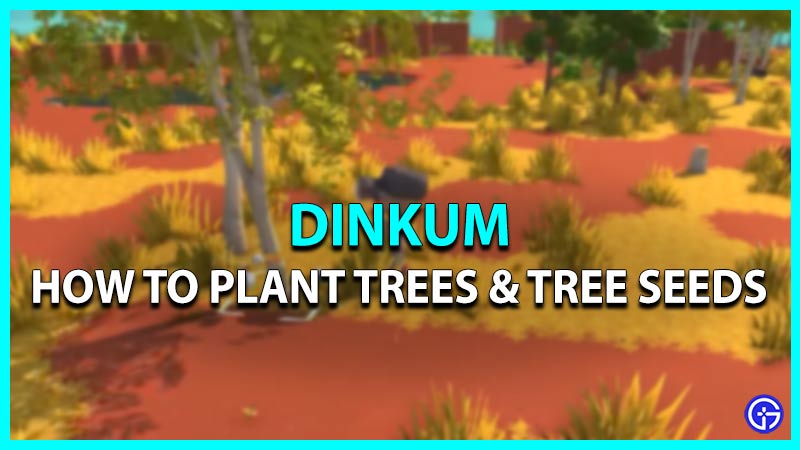 dinkum plant trees tree seeds