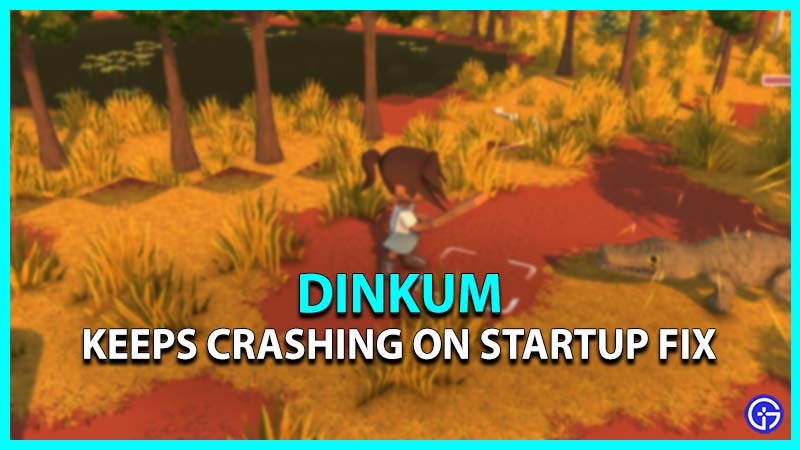dinkum keeps crashing on startup fix