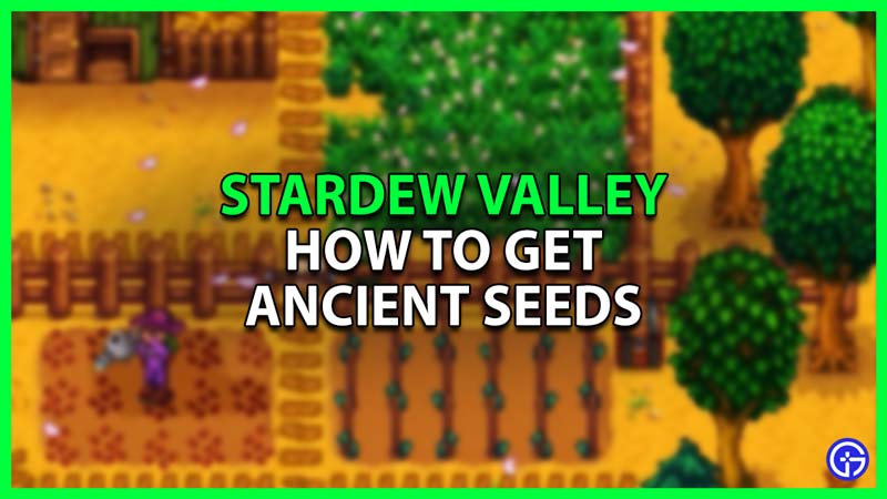how to get the ancient seeds in stardew valley