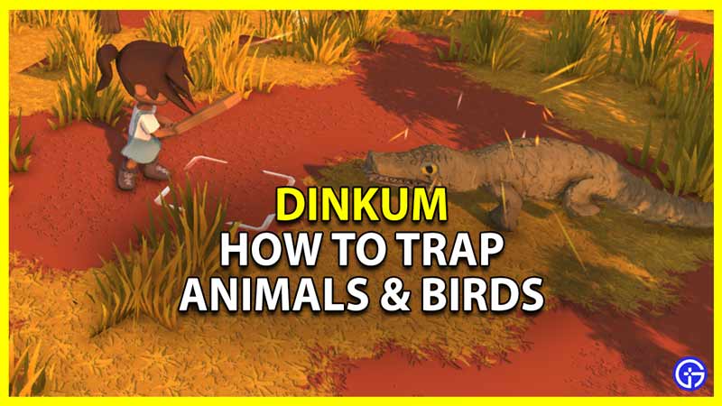 how to trap animals and birds in dinkum