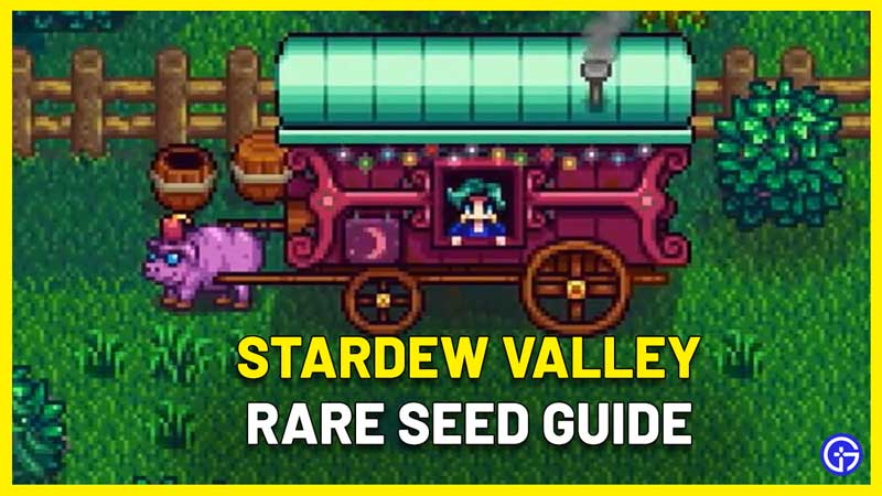Rare Seed In Stardew Valley
