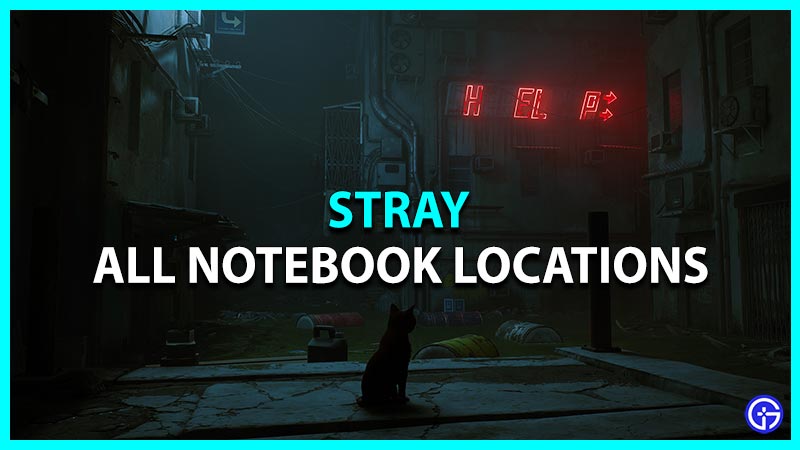 stray all notebook locations
