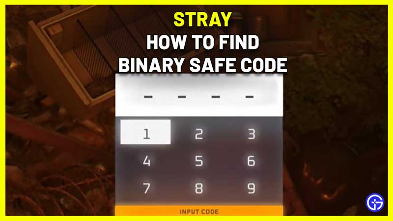 Stray Binary Safe Code open