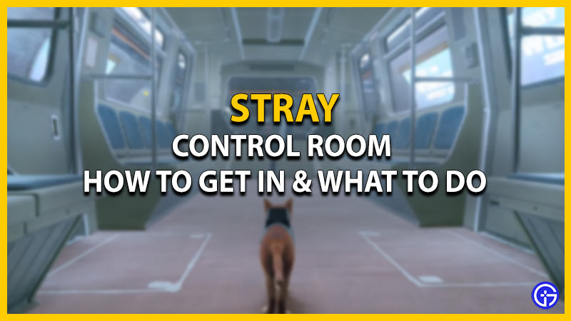 stray control room