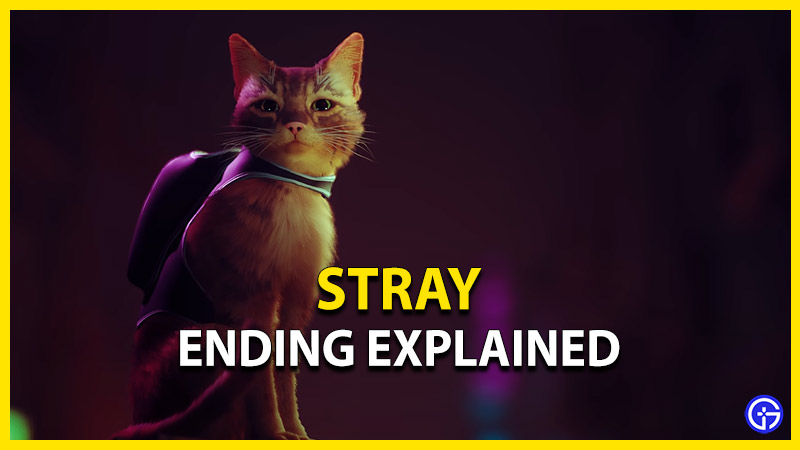 stray ending explained
