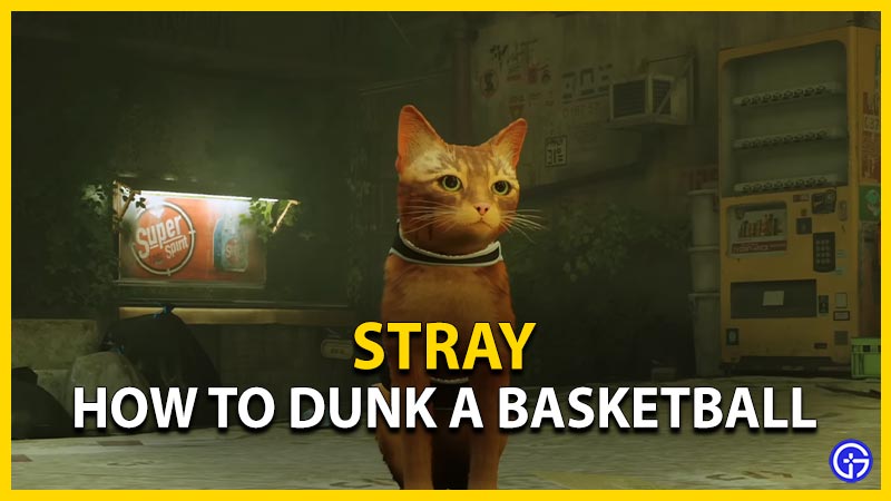 stray how to dunk basketball boom chat kalaka trophy