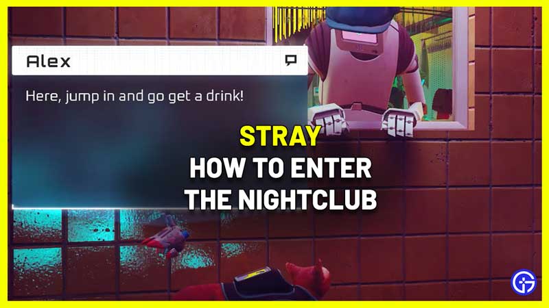 stray how to enter nightclub
