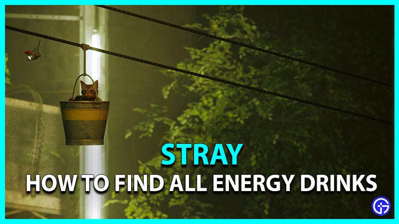 how to find all energy drinks in stray