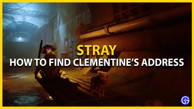 how to find clementines address in stray