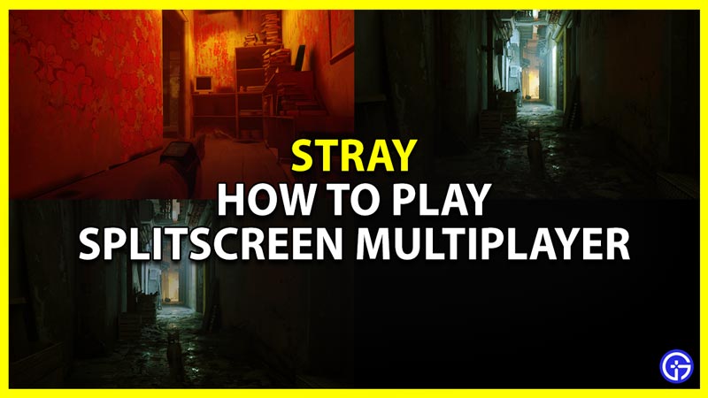 how to play splitscreen multiplayer in stray
