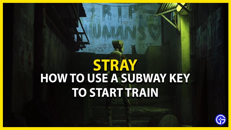 stray use a subway key to start train