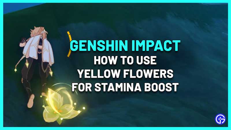 genshin impact flowers that restore stamina
