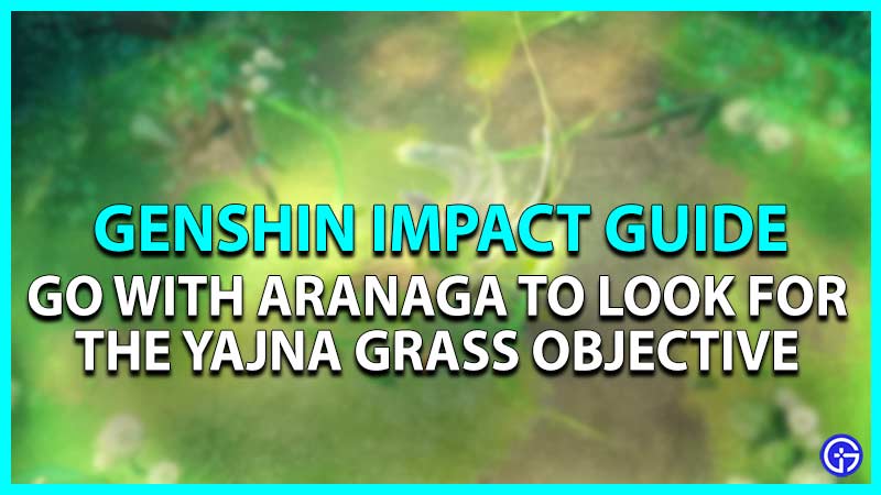 Go With Aranaga To Look For The Yajna Grass Objective Guide in Genshin Impact