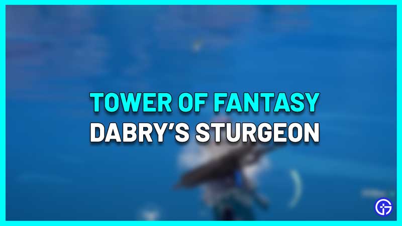 how to catch dabry's sturgeon tower fantasy