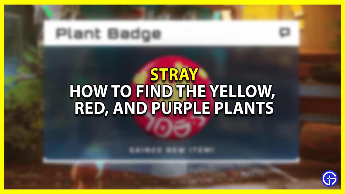 Stray Chapter 9: How To Find The Yellow, Red, And Purple Plants