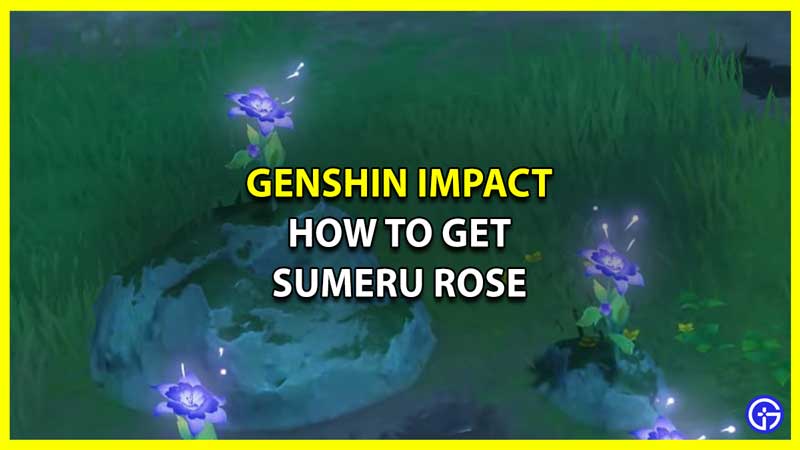 How to Get Sumeru Rose in Genshin Impact