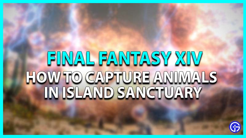 How to capture animals in Final Fantasy XIV