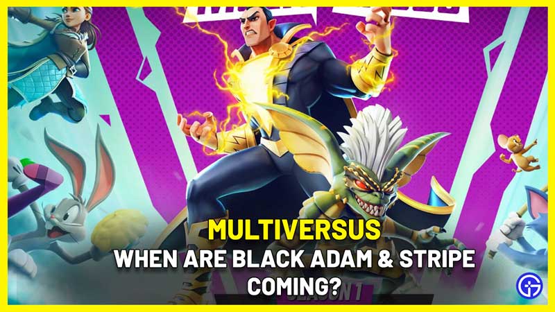 MultiVersus When Are Black Adam & Stripe Coming