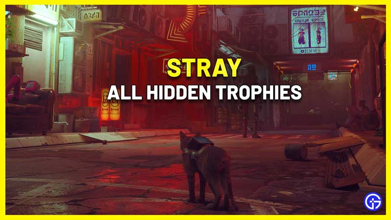 Stray Hidden Trophies Guide