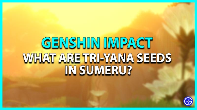 What are Tri-Yana Seeds in Genshin Impact Sumeru