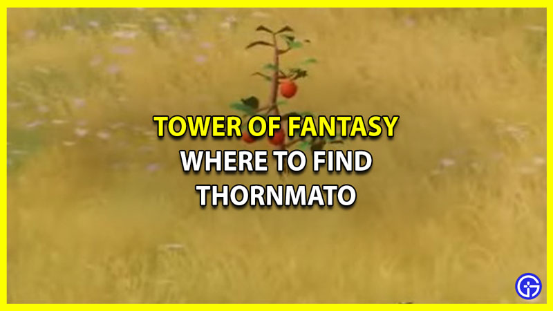 Where to Find Thornmato in Tower of Fantasy