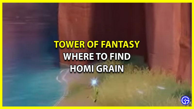 Where to Find Homi Grain in Tower of Fantasy