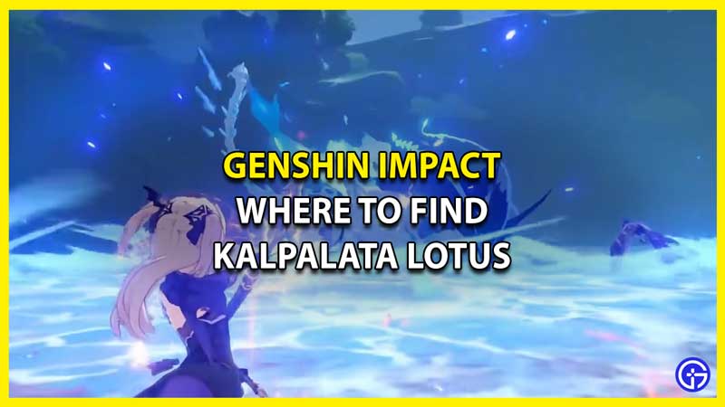 Where to Find Kalpalata Lotus in Genshin Impact