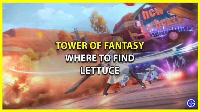 Where to Find Lettuce in Tower of Fantasy